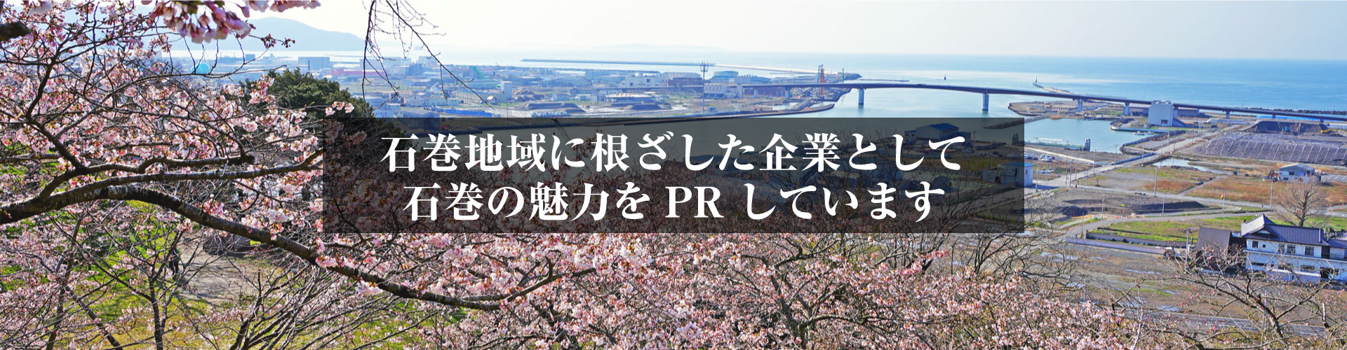 石巻地域に根ざした企業として石巻のPRしています